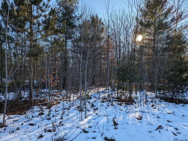Land for sale in Kaleva, Michigan