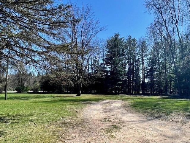 Land for sale in Kaleva, Michigan