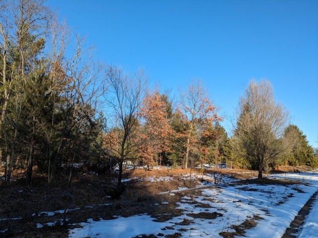 Land for sale in Kaleva, Michigan