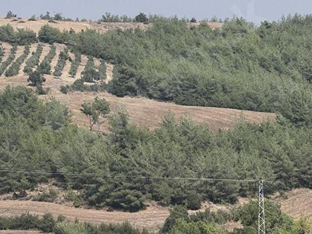 Karaisali, Adana içerisinde satılık Arsa