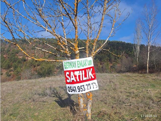 Osmangazi, Bursa içerisinde satılık mülk