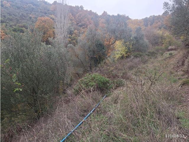 Orhangazi, Bursa içerisinde satılık Arsa