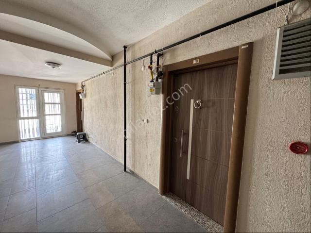 Nazilli, Aydin içerisinde kiralık mülk