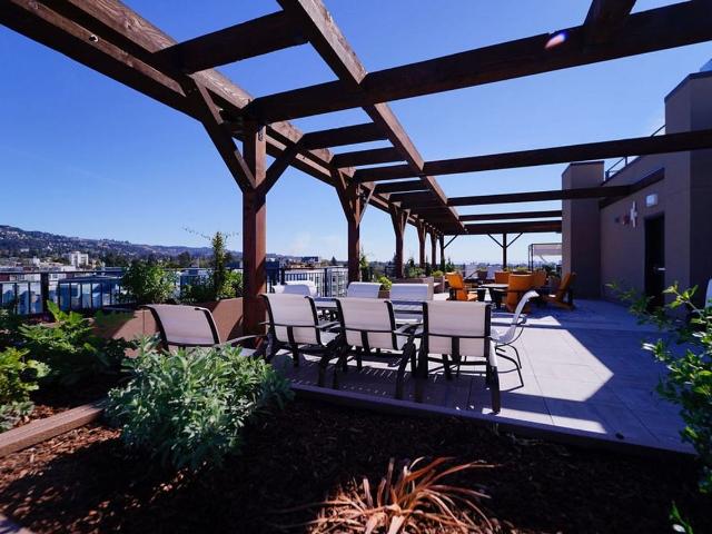 Apartment for rent in Berkeley, California