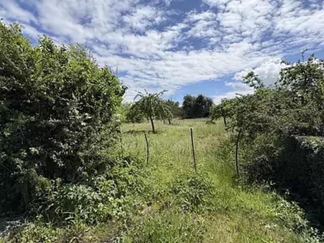 Maison vente à Avesnes-sur-Helpe, Berlaimont