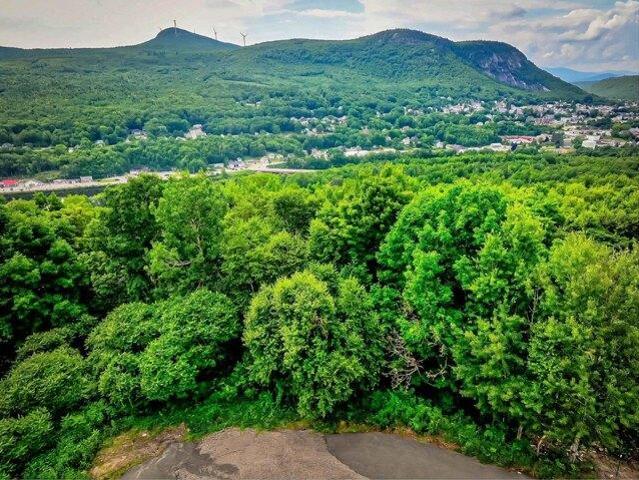 Land for sale in New Hampshire
