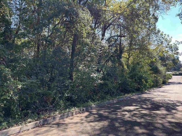Land for sale in Andalusia, Alabama