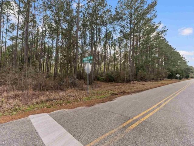Land for sale in Seminole, Alabama