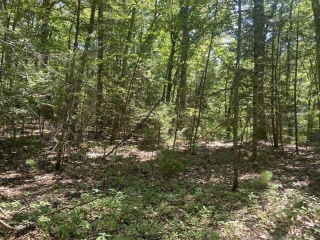Land for sale in Massachusetts