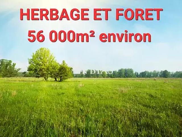 Terrain vente à Bernay