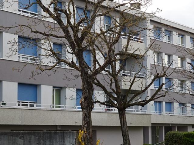 Apartment mieten in Bernex