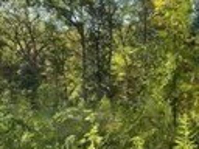 Land for sale in Carlisle