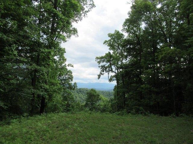 Land for sale in Franklin, North Carolina