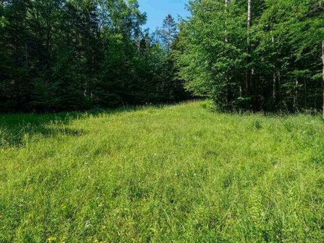Land for sale in Ludlow, Vermont