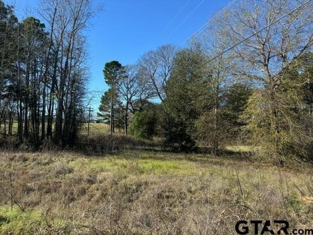 Land for sale in Frankston, Texas