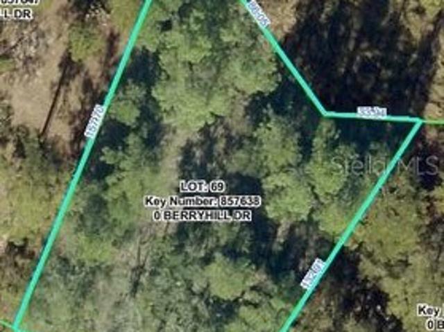 Land for sale in Webster, Florida