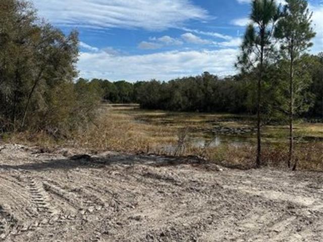 Land for sale in Webster, Florida
