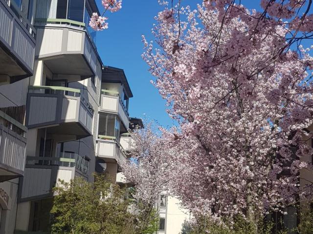 Rum hyra i Botkyrka, Stockholm