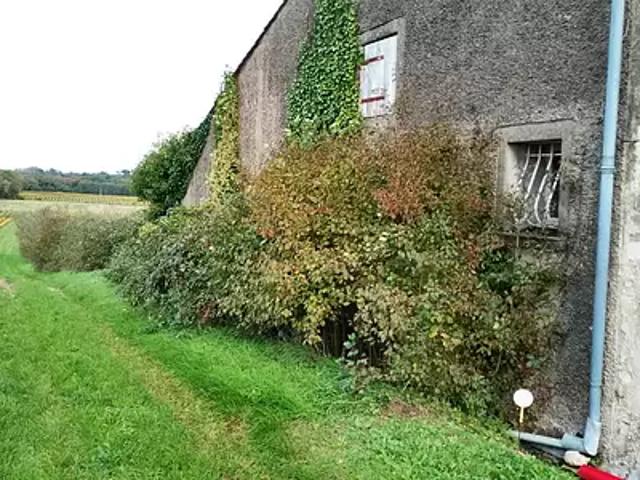 Maison vente à Blaye, Berson