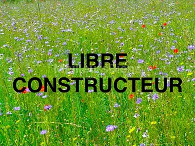 Terrain vente à Berson, Gironde