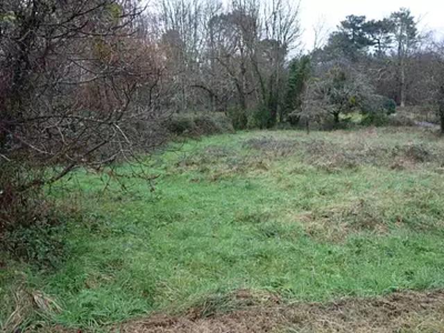 Terrain vente à Berson, Gironde