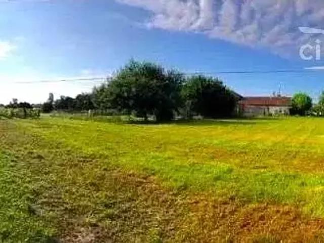 Terrain vente à Berson, Gironde