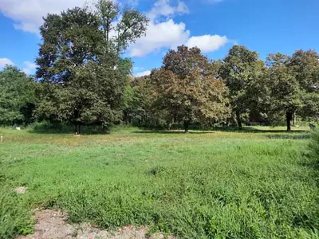 Terrain vente à France métropolitaine, Berson