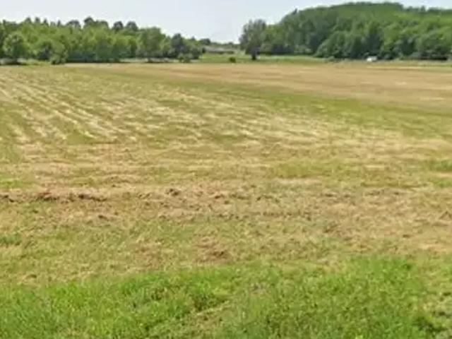 Terrain vente à France métropolitaine, Berson