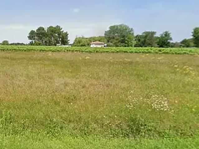 Terrain vente à Berson, Gironde