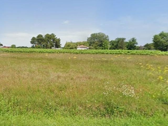 Terrain vente à Berson, Gironde