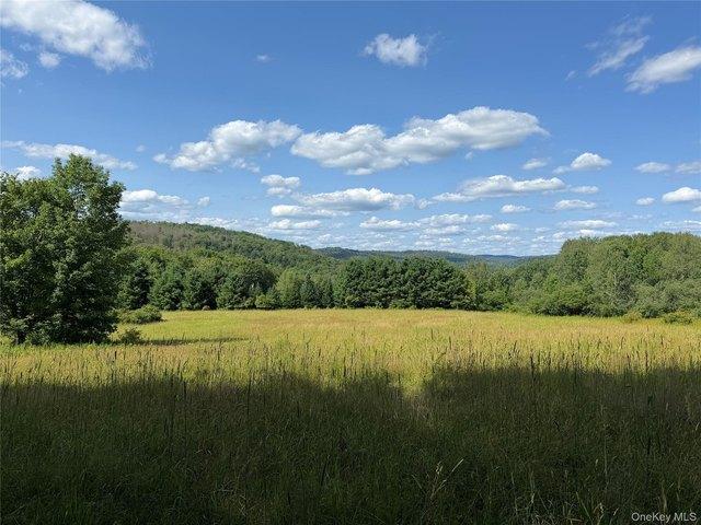 Land for sale in East Branch, New York