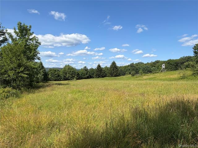 Land for sale in East Branch, New York