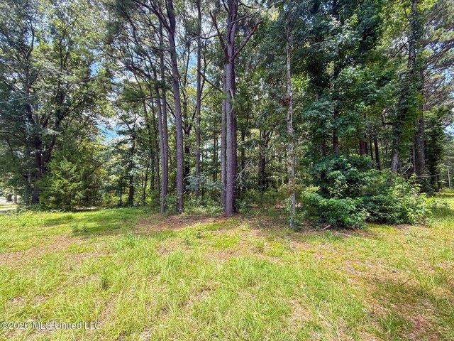 Land for sale in Mccomb, Mississippi