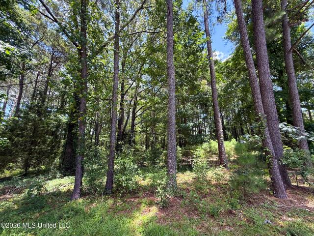 Land for sale in Mccomb, Mississippi