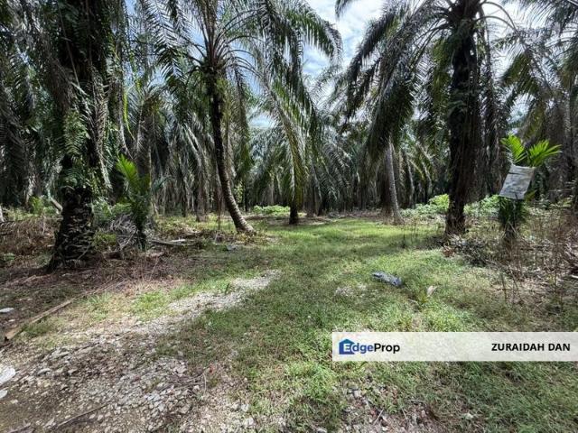 Shop for sale in Perak