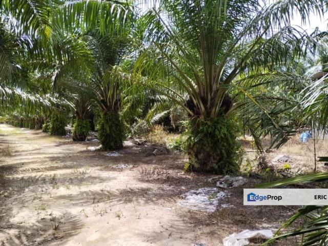 Shop for sale in Perak