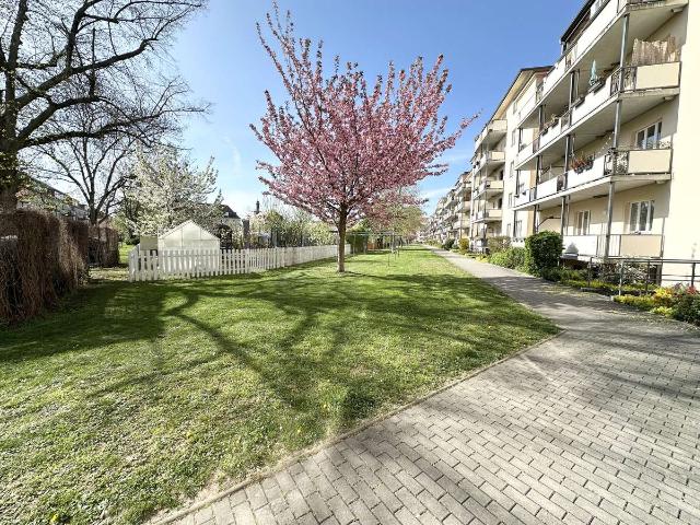 Wohnung kaufen in Tolkewitz/Seidnitz-Nord, Dresden