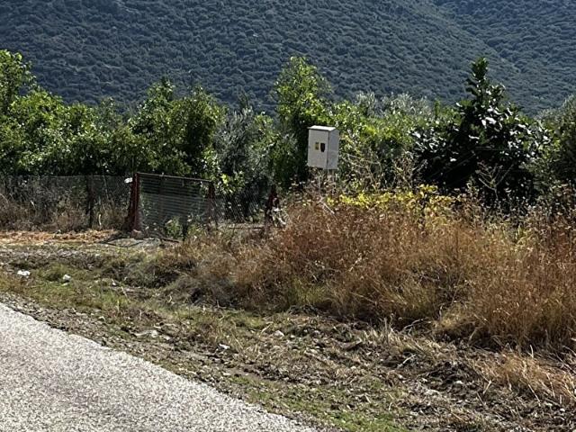 Yukarı Mahalle, Çeltikçi içerisinde satılık Arsa