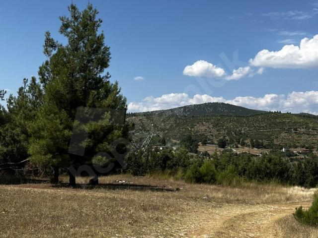 Bucak içerisinde satılık Arsa