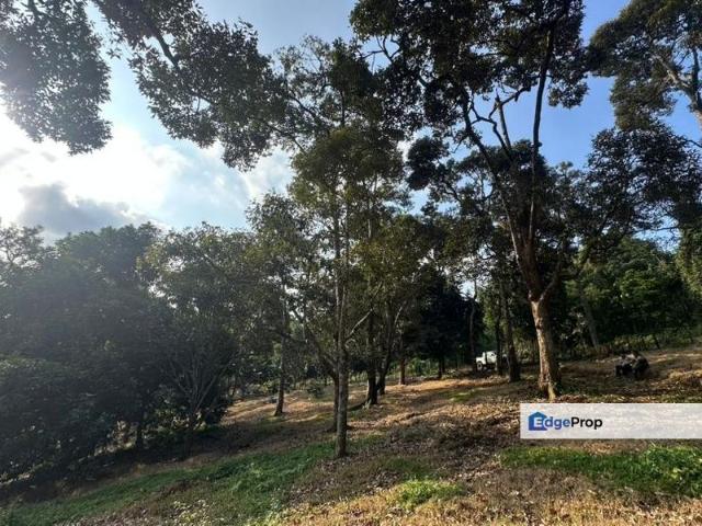 House for sale in Rompin, Pahang