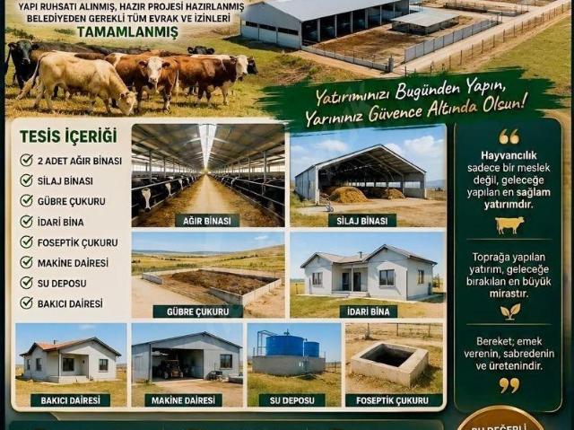 Polatli, Ankara içerisinde satılık Arsa