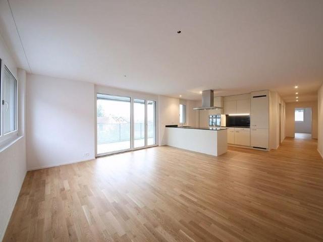 Apartment mieten in Sagi, Reichenburg