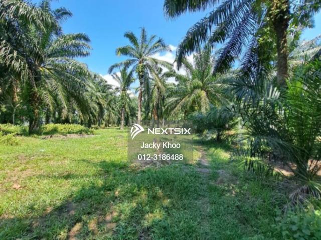 Property for sale in Banting, Selangor