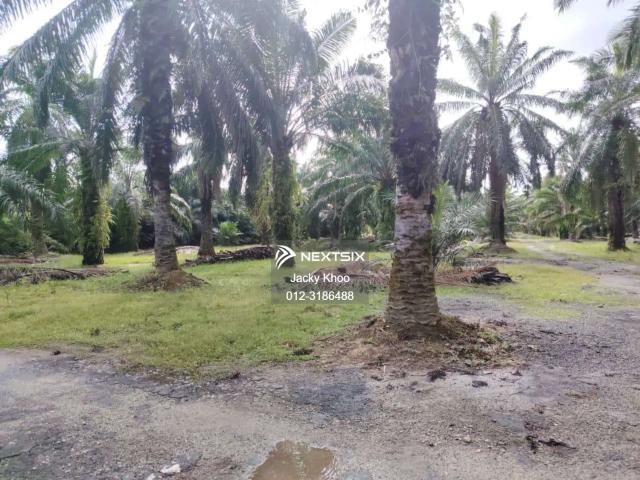 Property for sale in Banting, Selangor