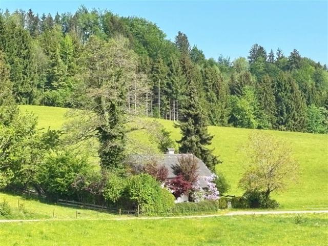 Grundstück kaufen in Oberhofen am Irrsee, Oberösterreich