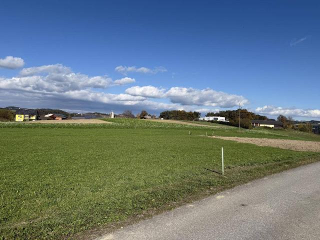 Immobilie kaufen in Perg, Oberösterreich