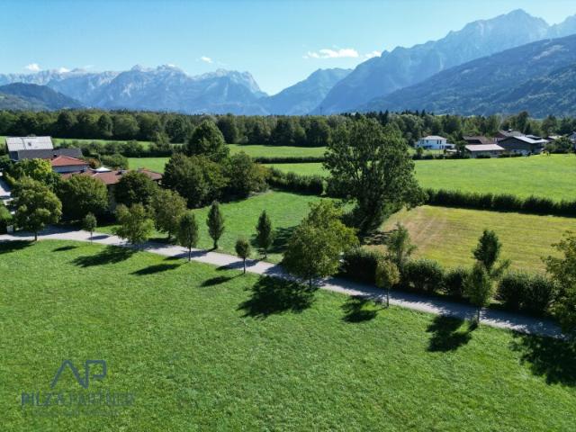 Grundstück kaufen in Vigaun, Salzburg