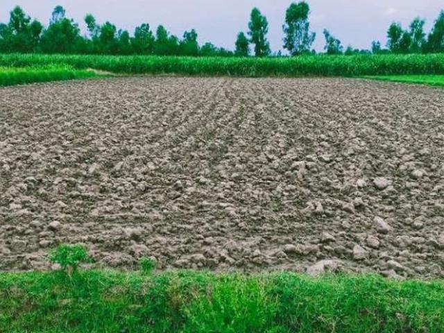 Land for sale in سرگودھا, سرگودھا ڈویژن