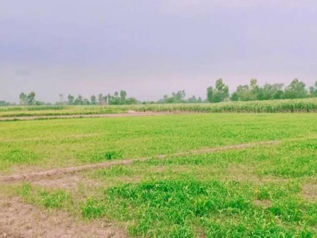 Land for sale in Islamabad Capital Territory