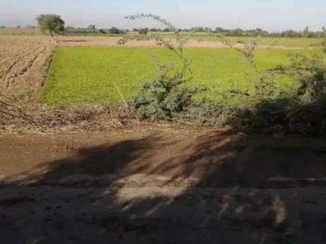 Land for sale in Dera Ismail Khan, North West Frontier Province